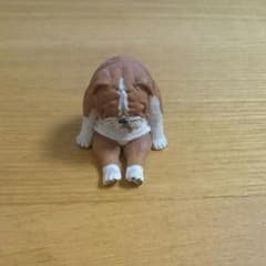 ひまなの寝 イヌ ブルドッグ フィギュアのサムネイル