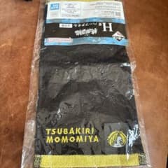 도원 암귀 이치 반 쿠지 H상 하프 타월