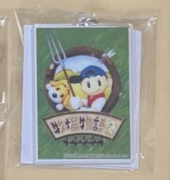 あやちゅんさま専用　牧場物語のサムネイル