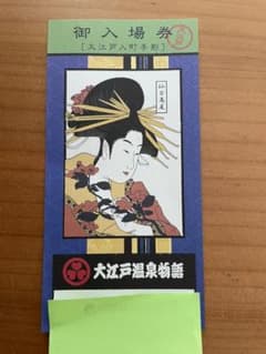 大江戸温泉物語 お台場 入場券 1枚のサムネイル