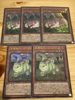 遊戯王　未界域のツチノコ　ジャッカロープのサムネイル