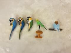 バードガーデン-鳥の庭- 3種　その他2種のサムネイル