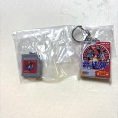 ポケモン　パッケージ＆ゲームカードキーホルダーコレクション　赤のサムネイル