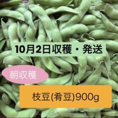 枝豆(肴豆) 900gのサムネイル