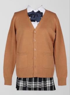 茶色　ブラウン　カーディガン　制服のサムネイル