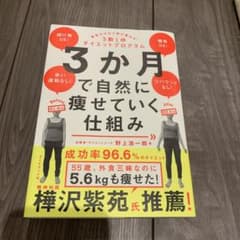 3か月で自然に痩せていく仕組みのサムネイル