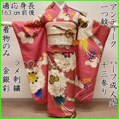512aj60◎ジュニア振袖のみ アンティーク ハーフ成人式 十三参り