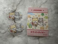 JOCHUM×東武動物公園 まめちぃのサムネイル