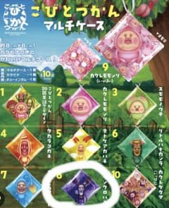 こびとづかんマルチケース、アラシクロバネのサムネイル