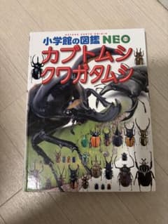 小学校の図鑑 NEO カブトムシ クワガタムシのサムネイル