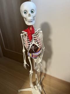 おしゃべりガイコツ ホネッキー - メルカリ