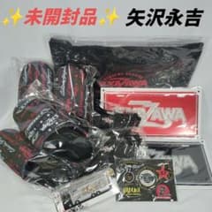 ✨️未開封品✨️ 矢沢永吉　ライブグッズセット　YAZAWA　スリッパ　バッグ ✨️未開封品✨️ 矢沢永吉 ライブグッズセット YAZAWA スリッパ