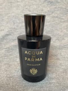 アクアディパルマ ウードアンドスパイス(OUD & SPICE)100mlのサムネイル