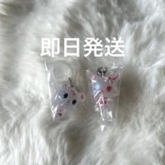 ジュエルペット めじるしアクセサリー キラキラオーロラver.のサムネイル