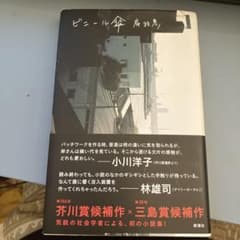 ビニール傘 岸政彦 新潮社のサムネイル