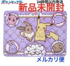 가격 인하! 포켓몬스터 fuwa&hug 담요 피카츄&이브이