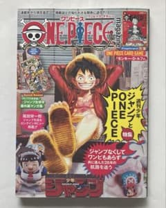 ワンピースマガジン 20号 本のみ カードなし 未読 - メルカリ