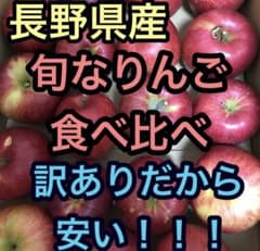 訳ありりんご食べ比べSET約10kg 長野県産　北海道沖縄不可のサムネイル