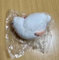鳩のぬいぐるみ ガチャガチャ ギンバトのサムネイル