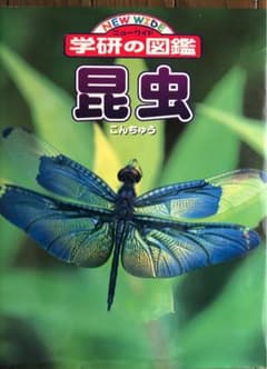 学研の図鑑　　昆虫のサムネイル