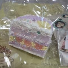 の*す様 【新品】 doro studio 三層トースト スクイーズ タグステッ