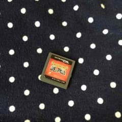 ニンテンドーDSカセットのサムネイル