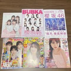 お値下げ交渉・バラ売り可能】櫻坂46 雑誌 まとめ売り - メルカリ