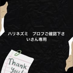 ハリネズミ　プロフ必ずご確認下さいませ。さん専用 ハリネズミ プロフご確認下さいさん専用 - メルカリ