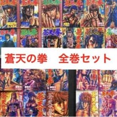 蒼天の拳 全巻セット 霞拳志郎 閻王 青幇 朋友 秘孔 北斗神拳 文句は俺