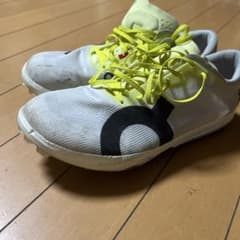 オン　アンプリウス2 25.5