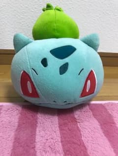 ぬいぐるみ ポケモンのサムネイル