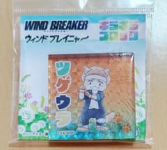 WIND BREAKER 윈드 브레이냐 기라기라블록 가시우라 대하