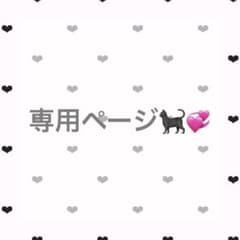 専用ページ⸜❤︎⸝‍のサムネイル