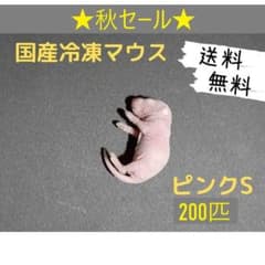 秋セール 国産冷凍マウス ピンクS 100匹（送料無料一部地域発送不可
