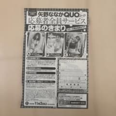 別冊ヤングチャンピオン2026年11月号の全員サービス応募券 矢野ななか