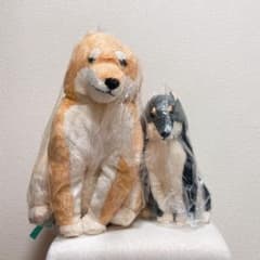 ほっこり柴犬 ぬいぐるみ 茶々ノ助 セットのサムネイル