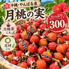 沖縄やんばる産 月桃の実 ドライ たっぷり300g 月桃茶・花材にものサムネイル