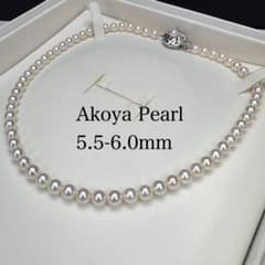 kn.na.kn.love 約5.5-6.0mm あこや真珠 kn.na.kn.love様専用 約5.5-6.0mm あこや真珠 - メルカリ