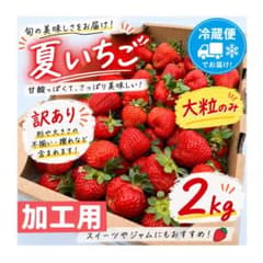 【セール中✨】青森県産　大玉夏イチゴ　2kg　いちご　訳あり　加工用　クール便のサムネイル