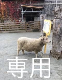 専用のサムネイル