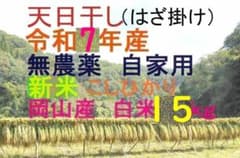 ■令和7年　コシヒカリ 白米 15kg　標準米 無農薬　晴れの国岡山　天日干し □令和7年 コシヒカリ 白米/玄米 15キロ 標準米 無農薬 晴れの国 天