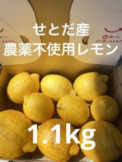 国産 瀬戸内 瀬戸田産の農薬不使用レモン 約1.1kg - メルカリ