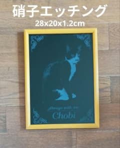 猫のアートフレーム硝子エッチング　 Chobiと言う名のハチワレ猫 猫のアートフレーム硝子エッチング Chobiと言う名のハチワレ猫 - メルカリ
