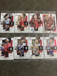 女子バレーボール 日本代表 ウエハースカード8枚セットのサムネイル