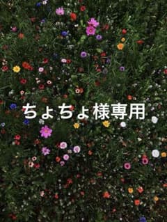 ちょちょ様専用　飯田栞月のサムネイル