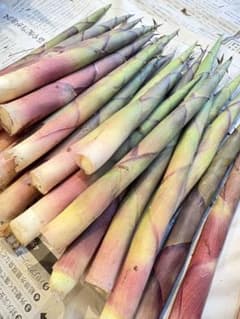 新潟県産 姫たけのこ 850gのサムネイル