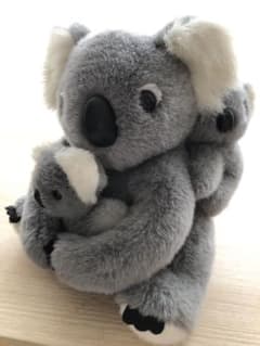コアラ　ぬいぐるみのサムネイル