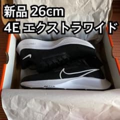ナイキ エアズーム ペガサス 38 4E 26.0cmのサムネイル