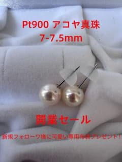 開業SALE Pt900 花珠級テリー　アコヤ真珠ピアス 7-7.5mmのサムネイル
