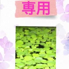 ユウキング様専用のサムネイル